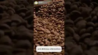 Master the science  of baking| RIHMCT