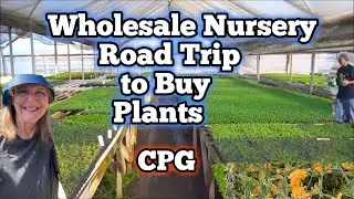 Trip to a Garden Nursery Wholesale Plants CPG Plant Nursey Buying Vegetables for Gardening