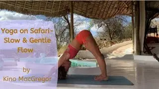 Yoga on Safari&mdash;Slow and Gentle Flow