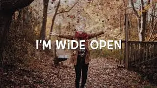 Offical Lyric video, 