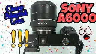 CHEAP COMBO: YONGNUO 50mm F1.8 Adapted on SONY A6000 Mirrorless Camera using Andoer Adaptor