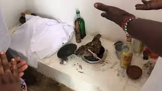 Cérémonie De Lissa