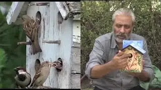 गौरैया हमें छोड़ कर जा रही है, इसे वापस बुला लीजिये | Environmentalist Rajesh Khatri