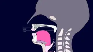 /ə/