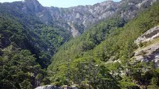 Crimea mountains Russia forest view||4k video