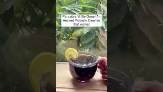 Powerful DIY Parasite Cleanse Tea for Total Body Detox! 🌿✨#diy #parasite #detox