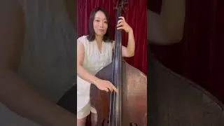 Sir Duke - Stevie Wonder     #steviewondercover #contrabass #doublebass #baixo