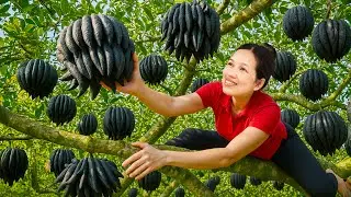 Incredible! Woman Harvests Jet-Black Buddha’s Hand in Tropical Jungle | Sells Out Fast at Market