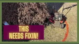 Our Weeping Japanese Maple Outgrew Its Bed | Flower Bed Expansion #gardening #japanesemaple #zone8b