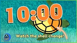10 Minute Turtle Classroom Timer with Fun Music for World Turtle Day