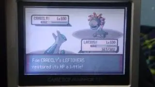 Shiny Shuckle in Pokemon emerald battle tower uncatchable&iexcl;&iexcl;