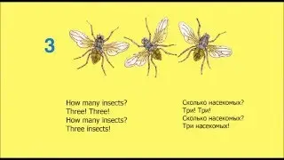 How many monkeys. Step 12. Get Ready 1. Счет на английском от 1 до 6.