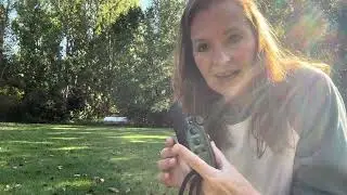 Garmin Sport Pro Dog Training System Review - The Best Dog Training Collar