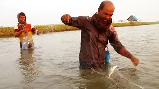 Gill Net Fishing | Current Net Fishing | Awesome Fishing | Fishing Video | EP 14 | WAVeBiG