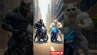 Weak Cat Becomes a Bodybuilder and Shocks the Cool Biker Cat! 💪🐱 | Funny Cat Animation Story