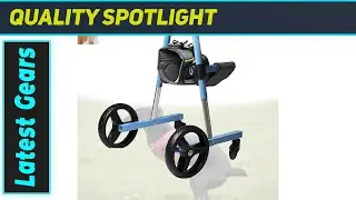Amazing Dog Wheelchair: Mobility Miracle for Front Leg Issues!