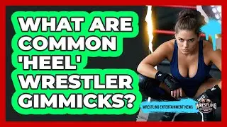 What Are Common 'Heel' Wrestler Gimmicks?
