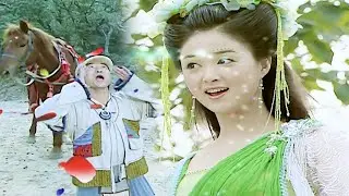 鱼日，是红绿色盲还是脸盲？绿儿大姐和三忘，可可爱爱，又甜又虐！