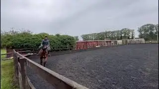 Emily cox with horse oscar for e - riders