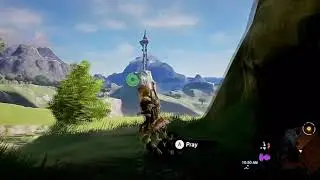 how to swap stamina for a heart container and a heart container for stamina
