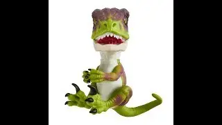 Raptor Dinosaur Fingerlings | Now On Amazon