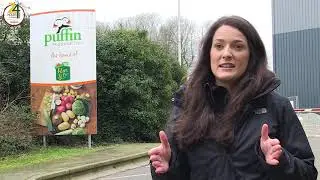 24 Hours in Farming 2019: Welsh Daffodils with Puffin Produce