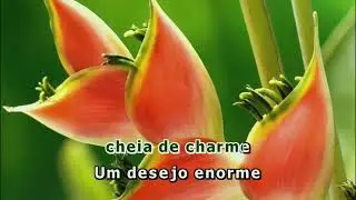 03045 -Guilherme Arantes [Cheia De Charme] Karaok&ecirc; R.L.nasuatela (Inscrever-se &eacute; d&aacute; um👍🗣🎙🎶🙏)