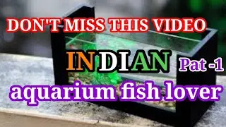 INDIAN OriginPopular Aquarium fishes/Aquarium Fishes Found In INDIA