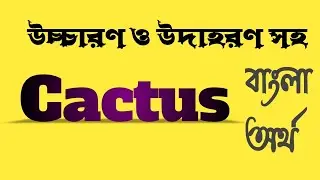 Word Meaning of Cactus । Cactus এর বাংলা অর্থ @bangladictionary