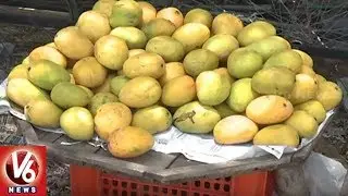 Mangoes Sale Isn't Start Yet In This Summer Season | Hyderabad | V6 News
