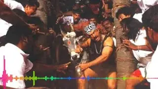 Virumandi - kombula poova suthi #jallikattu #avaniyapuramjallikattu