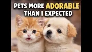 I Dare You Not to Smile / Pet Shorts Compilation 10  #CuteDogs #CuteCats #PetShorts #Aww #CutePets