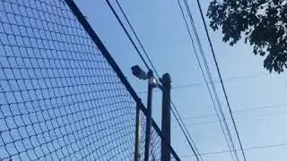 WOV SECURITY - PROJECT AT PAINTS AND GENERAL INDUSTRIES LTD