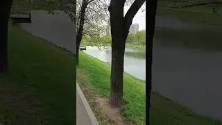 Москва. Чертаново южное. Каскад Кировоградских прудов. 29.04.2025