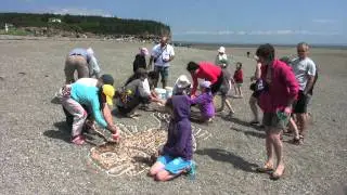 Tidal Art Aug 6 time-lapse Bay of Fundy