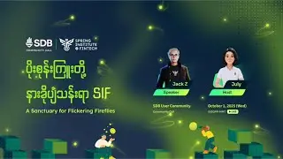 SIF က တော်လှန်ရေးအတွက် ဘာကြောင့် အရေးကြီးသလဲ?