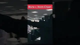 Волк с Уолл-стрит 😁 
