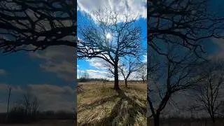 Once in aLifetime👁️ #dream #nature #bluesy #hiking #positiveenergie #path #walking #tree #sun ✌️&&hearts;️
