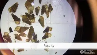 2025 Watershed Congress-On the Trail of Snails in the Upper Delaware