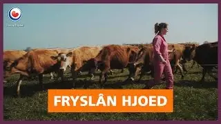 Frysl&acirc;n Hjoed