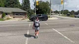 Traffic Light Crossing Tutorial