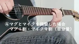 skysonic WL-800JP try