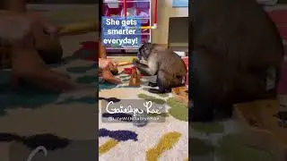Gaitlyn Rae Learning