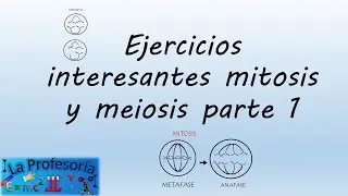 Ejercicios interesantes de Mitosis y Meiosis parte1