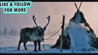 AI shorts vid&eacute;o for Iceland survival.. #iceland #survival #atlanta #trending #viral 