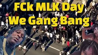 Crazy gang Fight breaks out At MLK Parade 