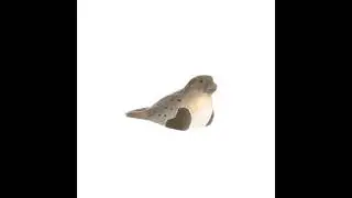 FOCA COM&Uacute;N