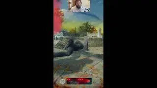 Pearl Gaming Live Stream