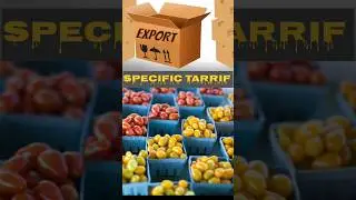intresting facts #tarrifs #usindia #tradewar #markets #trendingnow #viral #fyp #viralshort #facts