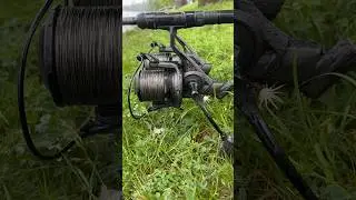 Die beste Angerolle die Fox jemals hatte 🤩 #shorts #carpfishing #karpfenangeln #fishingreel